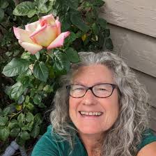 What are the flowers that look like sunflowers along Meridian roads?