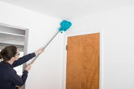 Window paint is subjected to large temperature fluctuations and moisture from condensation. How To Clean Walls And Wallpaper Hgtv