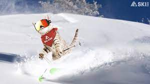 Iconic & unique designs · fresh patterns & colors · more colorful 23 Mountain Backgrounds Will Make You The Hero Zoom Needs