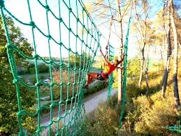 Indian Forest Sud