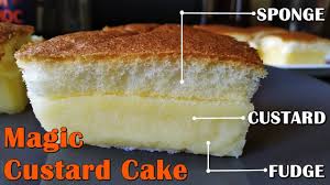 Penjelasan lengkap seputar resep bolu panggang anti gagal dan banten. Magic Custard Cake In Tamil Coolest Dessert 3 Layer Cake Youtube