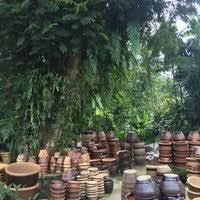 Tragedi letup4n dan kebak4r4n kilang mercun bright sparklers merupakan tragedi letup4n kilang mercun/bunga api yang berlaku. Nursery Sg Buloh 13 Tipps Von 1588 Besucher
