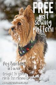 Files are free for all of our email subscribers, and email subscriptions to the site are free. Free Dog Bandana Pattern