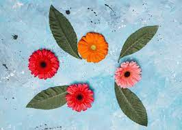 Gerbera Flowers With Green Leaves On Tab Free Photo Freepik Freephoto Background Flower Birthday Floral Gerbera Free Photos Green Leaves