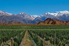 Puentes Guide to Mendoza — Puentes