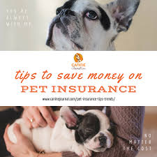 Bought by many pet insurance policies. Insurance For Dogs Price