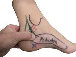 San Luis Podiatry Group