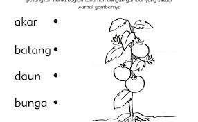 Contoh soal anak tk b bentuk dan mode pemasaran. Contoh Soal Anak Tk B Cute766