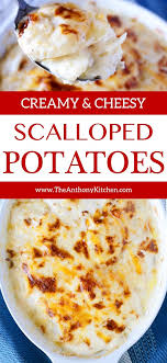 Creamy Scalloped Potatoes With Cheese Recipe Scalloped Potatoes Scalloped Potatoes Cheesy Easy Potato Recipes