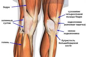 Penyanyi sia mengungkapkan bahwa ia menderita suatu penyakit, yaitu derita penyakit neurogi dan nyeri kronis. Tendinitis Bundel Latihan Patela Radang Bundel Lutut Jenis Dan Tahapan