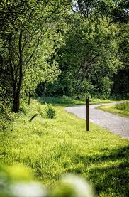 Image result for Emerald Green 1992 Shadow