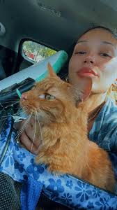 Lost and found amazon bird in Mandeville, Danny Boy is back home