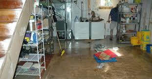 Despite having more than a day's w. Dealing With A Wet Or Flooded Basement Wisconsin Public Radio