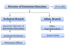 extension education activities kamdhenu university gujarat