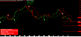 Usdinr Mcx Future Hourly Charts For 8th August 2012 Trading