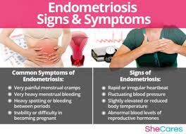 Endometriosis Symptoms Www Imgkid Com Signs Of Endometriosis Endometriosis Awareness Endometriosis