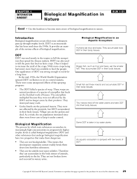 Biological Magnification In Nature Tuesday June 11 2019 Worksheets Magnification Answers