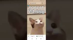 With tenor, maker of gif keyboard, add popular furry animated gifs to your conversations. Popcat 2 Pop Cat Know Your Meme