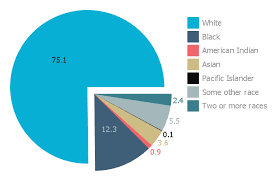 pie charts percentages of the u s population by race