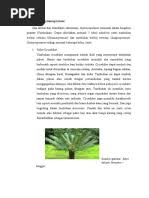 Image result for Leucas calamostachys