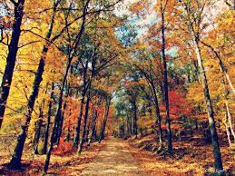 October Day Land Between The Lakes Kentucky Camping In Nj Land Between The Lakes Kentucky Camping