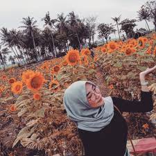 Bunga matahari musiman tidak membutuhkan banyak perawatan, meski anda bisa memotongnya agar tidak tumbuh terlalu tinggi. About Tangerang Bunga Matahari Tumbuh Kembali Ada Yang Facebook