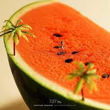 7 27 thu seed surfer 種乗りの聖地 今日は スイカの日 です スイカの種 サーフィン 波乗り watermelon surfing スイ海浴 食品サンプ miniature calendar miniature photography watermelon day