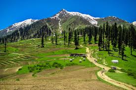 Lalazar | Beautiful Lalazar Meadows in Naran Kaghan