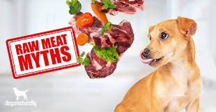 Raw dog food diets are controversial. Raw Meat Diet For Dogs 7 Myths You Won T Believe Dogs Naturally