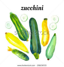Monash S Portfolio On Shutterstock Watercolor Food Watercolor Fruit Watercolor Illustration