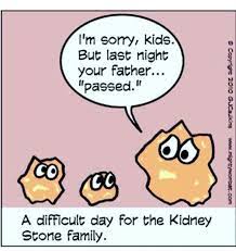 But i didn't expect the radiologist to actually see the stone in the ultrasound. Kidney Stone Humor Images Pin By Mike Bednarik On Kidney Stone Humor Kidney Stones Funny Bones Funny Passing Kidney Stones Sometimes The Kidney Stone Can Travel Down The Ureter The