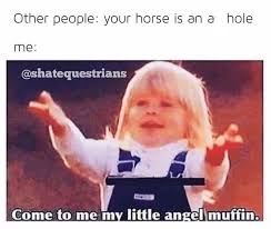 My Horse Is A Jerk But He Is My Angel Muffin Funny Relationship Quotes Funny Boyfriend Memes Relationship Jokes