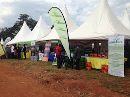 We did not find results for: Blog Simoshi