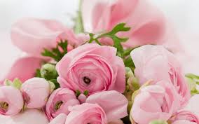 Pelamin bajet,hantaran,sewa barang pelamin diy see more of pelamin bunga kertas on facebook. Diy Meriahkan Pelamin Anda Dengan Bunga Simple Ini Pesona Pengantin