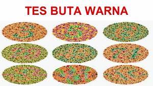 Maybe you would like to learn more about one of these? Kisi Kisi Tes Pt Tirta Alam Segar Youtube