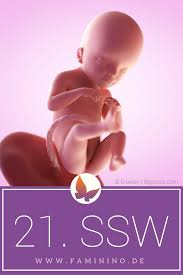 Dein baby kann hören alles über geburtsvorbereitung so kann papa sich vorbereiten. Pin Auf Schwangerschaftswochen