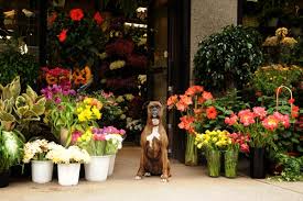 Local long island ny florist. Flowers By Philip 1311 Lexington Ave New York Ny Florists Mapquest