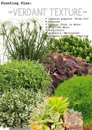 How To A Container Garden Planting Featuring Verdant Texture Pith Vigor Plants Container Gardening Berry Garden