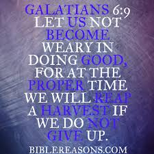 Pin On Bible Quotes