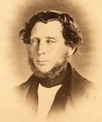 Dinosaur Tracks Discovery