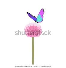 Purple Butterfly On Allium Flower Illustration Vector Spring Flower Butterfly Purple Butterfly Graphic Design Illustration Illustration Design