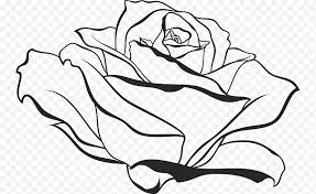 Sketsa kupu kupu yang indah sekali kupu easy butterfly sumber : Buku Hitam Putih Gambar Seni Garis Kartun Komposisi Daun Hitam Putih Bunga Png Klipartz