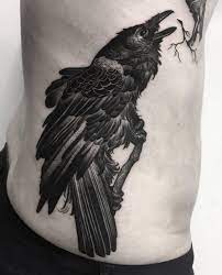 Pin On Raven
