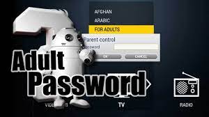 Now i can not use the tv at all. How To Unlock Iptv Adult Channels On Stb Emulator Krispitech