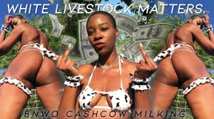 Wit vee is van belang: BNWO CASHCOW MILKING - eKRYSTALLINE - ASMR Wallet  draineert Ebony