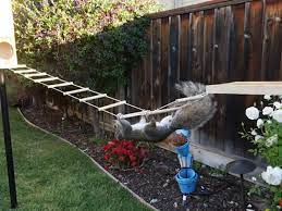 This Byu Grad Created A Squirrel Ninja Obstacle Course Water Games For Kids Squirrel Summer Fun List
