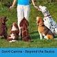 Good Canine Level 2 – Beyond the Basics. Masteri... event in Pembroke, ON