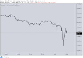 Kiểm tra phân tích kỹ thuật và dự báo bitcoin. C0wkodixvk8irm