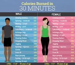 240 calories • 155 pounds: How Many Calories Do You Burn In 30 Minutes Of Cycling