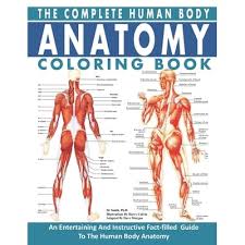 Body muscle anatomy books / female body anatomy books 3d ilustration stock illustration 714620953 / collection by medical books free for all. The Complete Human Body Anatomy Coloring Book The Ultimate Anatomy And Physiology Study Guide For Beginners By Smith Houssam